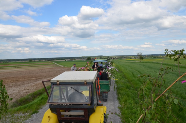 Zielone Świątki 2016 (11)